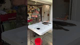 AMAZINGLY EASY FLOUNDER CATCHING TIPS [upl. by Ecneitap]