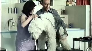 HypoVereinsbank Werbung 2001 Hundesalon [upl. by Stargell]