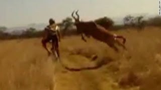 Survival of the fittest Antelope vs Cyclist edition [upl. by Gnilrad]