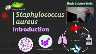 Staphylococcus aureus  Introduction  Bacteriology  Basic Science Series [upl. by Teagan]