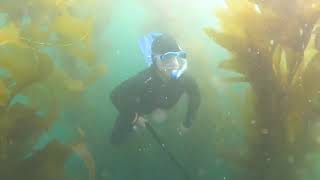 Snorkeling at Laguna Beach Bird Rocks on November 2 2024 [upl. by Biel]