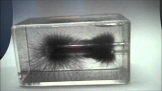 Magnetic Field lines 3D [upl. by Geralda]