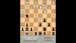 Mikhail Tal Attacked Like Crazy and The End is Fantastic Tal Legacy [upl. by Darnok425]