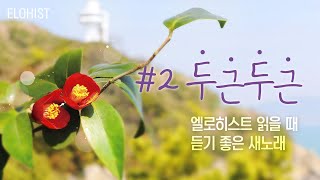 엘로히스트 읽을 때 듣기 좋은 새노래 2 [upl. by Rakso217]