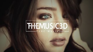 Afrojack amp Steve Aoki ft Miss Palmer  No Beef FLACUHQ [upl. by Assirral138]