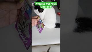 whiskas Wet Meal Adult Cat Food  Tuna In Jelly 😺😺😺trending ytshorts viral catfood [upl. by Sherr]