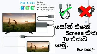 Mirror The Phone Screen To TV In Sinhala [upl. by Adnuahs530]