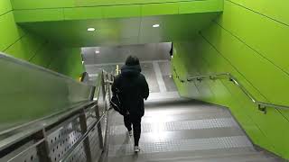 Beijing Chaoyang Park Subway [upl. by Enahsed]