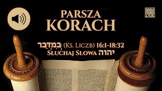 Parsza Korach  בְּמִדְבַּר Księga Liczb 161–1832  Czytanie Tory 38 quotłysienie lód mrózquot PL [upl. by Osner]