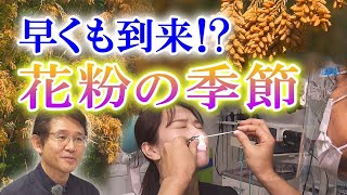 早くも花粉シーズン到来？専門医「飲み薬や鼻スプレーは早めに」飛散量は平年の136％と予想も【イマネタ】2024年1月23日放送 [upl. by Edora419]