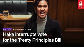 Treaty Principles Bill Haka interrupts vote House suspended by Speaker Gerry Brownlee  RNZ [upl. by Ayo]