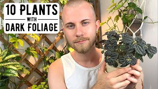 10 Houseplants With Nearly Black Foliage [upl. by Babcock]