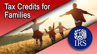 Tax Credits for Families [upl. by Ahsoik528]