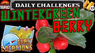 Wintergreen Berry Locations RDR2 Online Daily Challenge Location Guide Red Dead Redemption 2 [upl. by Rep462]