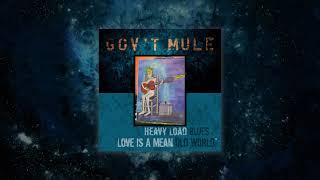 Govt Mule  Love Is A Mean Old World Visualizer Video [upl. by Nosned]