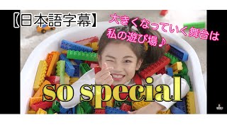 【日本語字幕】so special ハウンちゃん [upl. by Amimej]