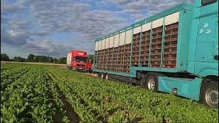 Auflass Heddesheim 14072024 Reg V 259 Ostfriesland [upl. by Alyce]