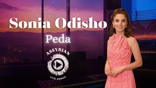 Sonia Odisho  Peda Assyrian Live Songs  2024 [upl. by Emelun627]