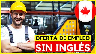 TRABAJA en CANADÁ SIN SABER INGLÉS [upl. by Nollat]