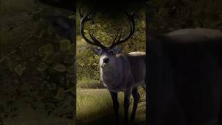 5 STAR MATURE TROPHY RED STAG GETS SMOKED WITH THE FRED BEAR TAKEDOWN RECURVE IN wayofthehunter [upl. by Aurilia367]