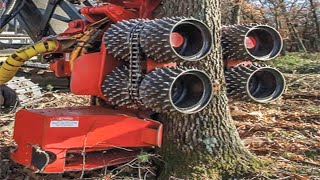 Dangerous Fastest Chainsaw Cutting Tree Machine Skills  Heavy Biggest Felling Tree Machine Working [upl. by Angus]