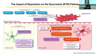 Rodrigo Machado  Kynurenine pathway and biomarkers of response [upl. by Eenaffit140]