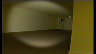 Wavelink  Found Footage 2  Backrooms [upl. by Lynde]