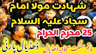 Nohay Imam Sajjad as  25 Muharram 2024  Sajjad dy kafan chu  Dhudial Party 2024 [upl. by Roobbie]