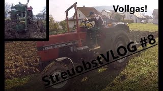 ACKERN  Pflügen  Case IH 533 StreuobstVLOG 8 [upl. by Artep518]