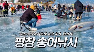 못 잡아도 송어는 무조건 챙길 수 있다 평창송어축제 얼음 낚시 🎣 [upl. by Slavin]