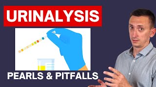 Urinalysis Interpretation in Urinary Tract Infections UTIs [upl. by Sivrep]