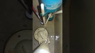 How To fix A leaking Toilet Tank  Toilet Tank Repair  Replaced Rusted Broken Toilet bolts [upl. by Persian]