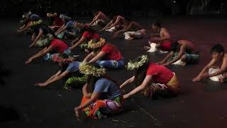 Balmacewen Intermediate School Pasifika Group Otago Polyfest 2024 [upl. by Ciro]