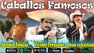 Antonio Aguilar Ft Vicente Fernández 🆚Joan Sebastian ✯⁠ᴗ⁠✯ Corridos Caballos Famosos Mix🎠🎠🎠 [upl. by Atnohsal]