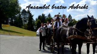 Ansambel bratov Avbreht  Jodl polka [upl. by Franny]