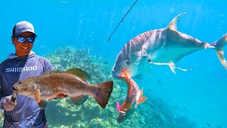 Drone Fishing The Outer Great Barrier Reef [upl. by Lemak30]