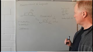 A Coumarin in Scorpion Chitin Synthesis Planning Insights in Advanced Organic Chemistry 17 [upl. by Cantu]