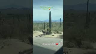 Salt river tubing Phoenix AZ [upl. by Nirik378]