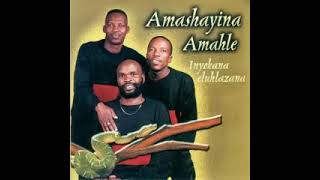 Amashayina Amahle  iVenture [upl. by Hartzell]