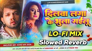 dilwa laga ke bhula gailu tu neelkamalsingh zakhmi dil bhojpuri sad song top nonstop song mixadr [upl. by Bronson]