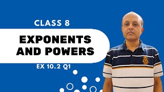 Exponents and Powers  Ex 102 Q1  Class 8 Maths NCERT [upl. by Frazier381]