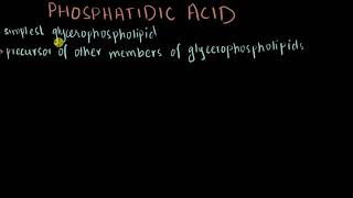 Phosphatidic acid  Structure amp Biosynthesis [upl. by Nymsaj]