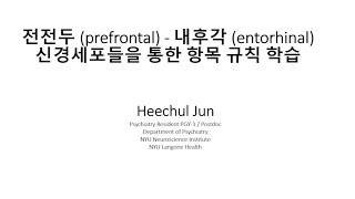 전전두 prefrontal  내후각 entorhinal 신경세포들을 통한 항목 규칙 학습 [upl. by Yhpos830]