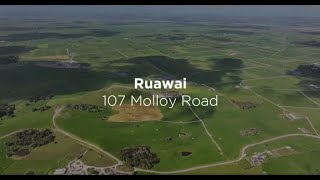 107 Molloy Road Ruawai [upl. by Landon]