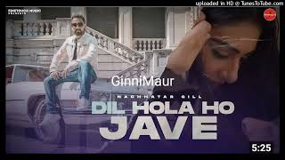 Dil Hola Ho Jave Nachtar Gill Gurnam Gama [upl. by Gan]