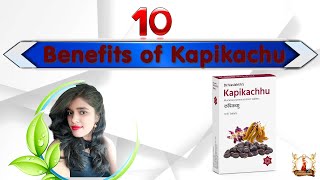 Benefits of Kapikachhu 10 कपिकच्छु के फायदे कौंच के बीज के फायदे [upl. by Timothee54]