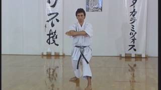 Shotokan  Heian Yondan [upl. by Sivaj]