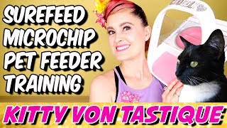 The SureFeed Microchip Pet Feeder from SureFlap  How To Use Training Tips amp Tricks [upl. by Clyve857]