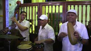 Turista bailando La Bodeguita del Medio La Habana Cuba [upl. by Licna276]