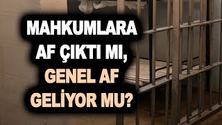 Af Çıkıyor İşte Ayrıntılar infazdüzenlemesi afhaber cezaindirimi ehliyetaffı khkhaber genelaf [upl. by Trula]